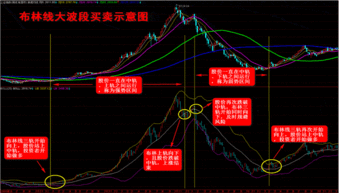 请问大家，股票中看完布林线有关指数后，如何返回日K线？