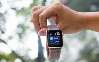 苹果要称霸智能穿戴了 Apple Watch销量创纪录,最大对手是小米 