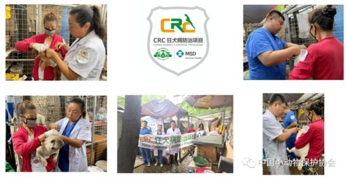 CRC 7月月报 福州 柳州 西安 广州 咸阳 贵阳 天津等多地完成注射