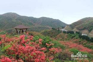 大围山国家森林公园旅游攻略