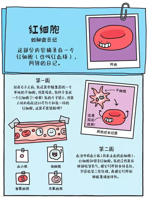 你敢不敢看这样的漫画