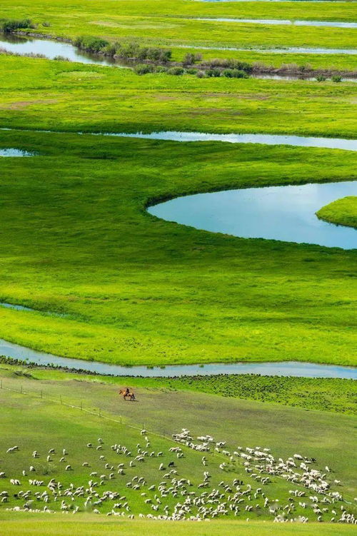 春节2023带父母去哪旅游