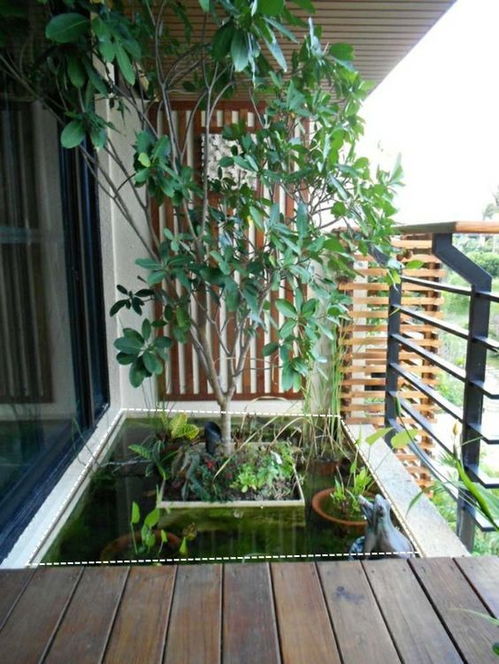 我家要有阳台,不光洗衣种花,还要拿来养鱼,鱼缸就安装在护栏上