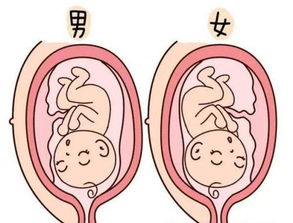 6种方法看孕妈怀男怀女准吗 童心妈妈带你看真相