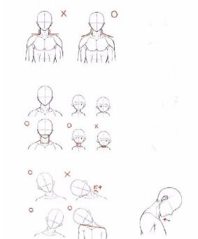 动漫人物头像怎么画 人物头部结构怎么画正确