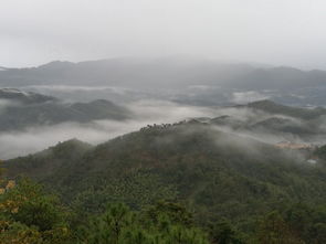 广东游记 