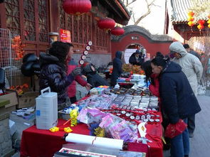 2023春节北京有哪些庙会,2023年中国春节游园庙会在比利时那慕尔市举行
