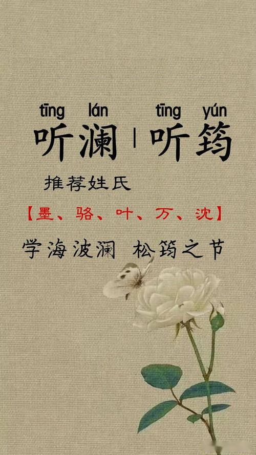 一儿一女取中国风名字,唯美大气,文化底蕴丰富