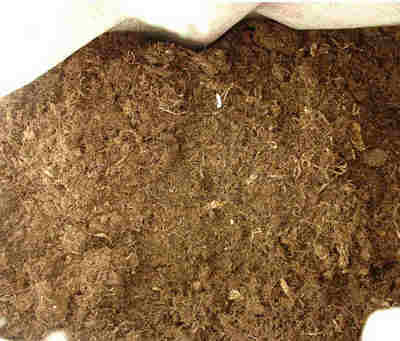 泥炭土是什么土,什么是泥炭土跟河泥一样吗？
