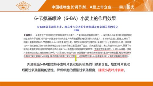 大哥大姐们谁知道四川国光农化发展前景及员工待遇怎么样啊。本人硕士一枚，准备应聘研发类