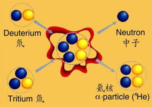 核聚变和核裂变为什么都放出能量