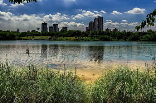 成都青龙湖湿地公园