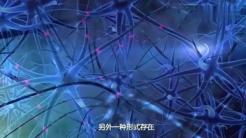 轮回真的存在吗 听完科学家的解释,网友 死亡只是个开始 