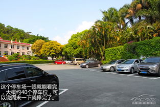 团结湖公园免费停车 停哪里 (60公里免费停车场在哪)