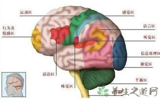 脑出血的护理要注意的问题 