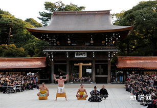 日本东京 新年相扑表演