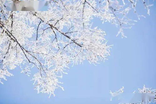 大雪过后这些青海地方更美,仿佛人间仙境