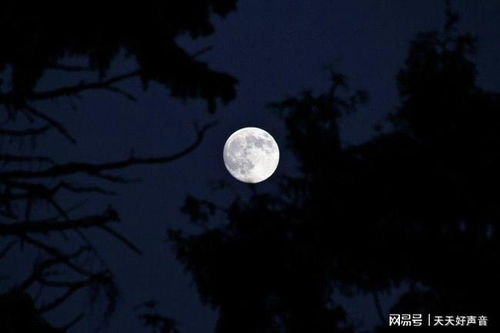 火星入庙白羊座,白羊座拒绝沉寂,重获新生力量