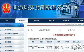 2015山东各级法院新收案件128.2万件 直播庭审574个 