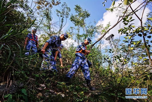 守护永不消逝的电波 记海军参谋部某保障大队南北山分队 