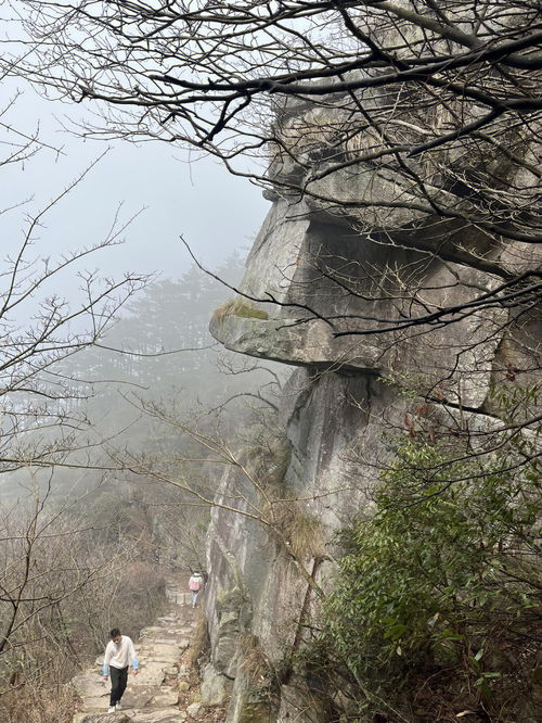 庐山徒步攻略 好汉坡起点上山 