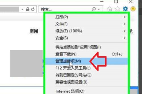 win10浏览器怎么设置加载项