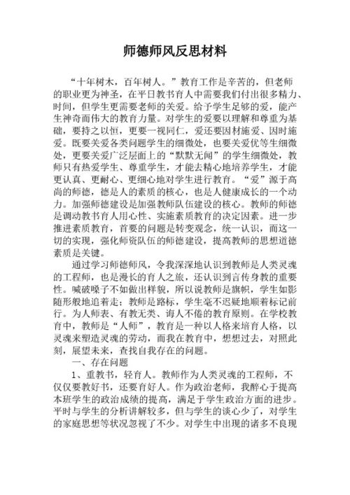 师德师风反思