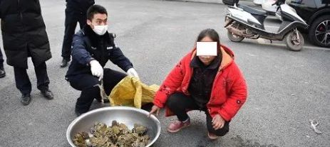 函授本科查重不通过？这些错误你不能犯