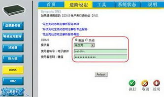 路由器ddns有啥用(ddns免费服务器)