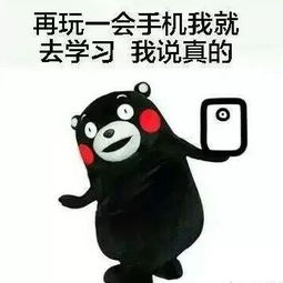 快考试了肿么办