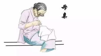 临沂海丰举办 百善孝为先 感恩母亲 联谊活动