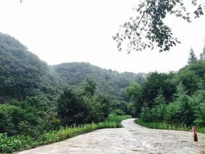 旅游攻略 玩转清原筐子沟 风里雨里筐子沟等你 