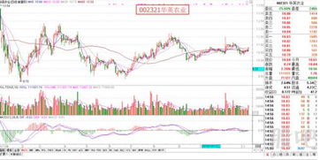 什么叫次交易日？B股为什么要实行次交易日起回转交易？