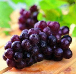 哺乳期能吃葡萄吗 哺乳期可以吃葡萄吗