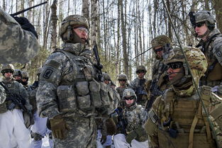 美军第25步兵师在阿拉斯加训练 手套亮眼 