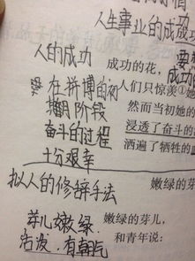 季节文字怎么弄好看(怎样写字比较好看有哪些技巧)(季节文字图片)