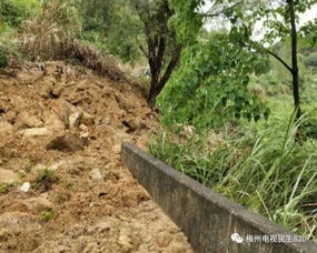 我市今天开启 倒水 模式,一些地方遭水浸 明后天还要注意