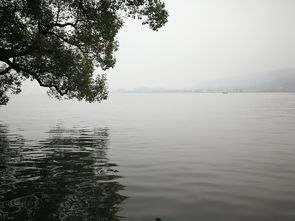 早起看雨湖