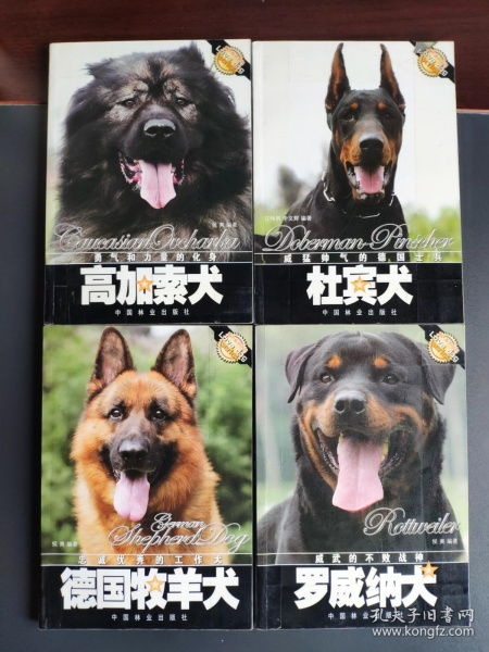 爱犬系列丛书 高加索犬 杜宾犬 罗威纳犬 德国牧羊犬 四本合售 
