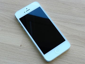 独特潮机 苹果iPhone 5最新价仅4600元 