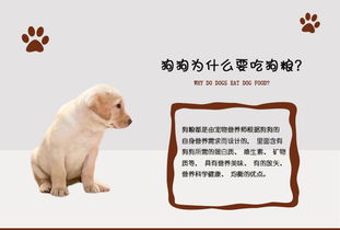 海麒麟金毛幼犬专用粮小型犬幼犬泰迪博美拉布拉多雪纳瑞通用粮美毛促进消化狗粮2.5kg