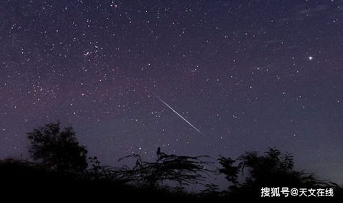 请定好您的闹钟,金牛座南流星雨或于10月到达顶峰期