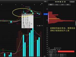 请问,如何查到个股每天主力资金动向