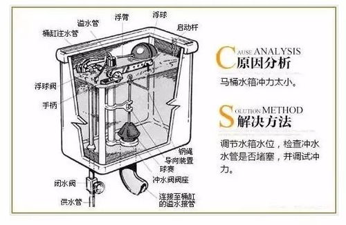 抽水马桶结构图维修图 图片欣赏中心 急不急图文 Jpjww Com