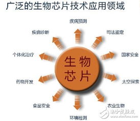 生物芯片分类及应用