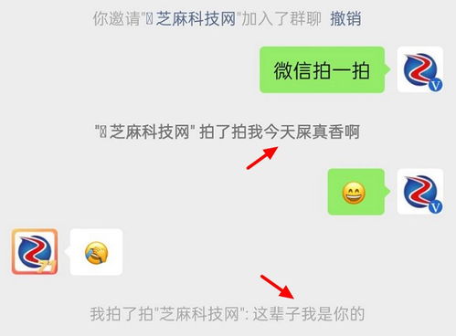 微信怎么拍一拍对方