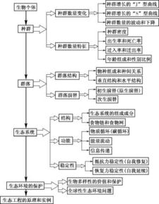 高中生物知识网络,方便您的记忆 