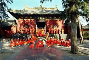 郑州到少林寺一日游多少钱 少林寺图片 登封少林寺旅游攻略