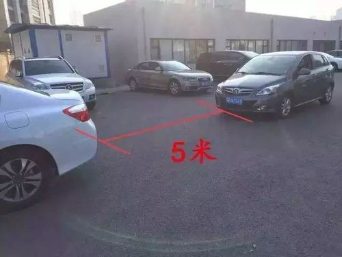 外地开车到重庆如何停车(临江免费停车场)