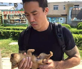这个名叫Marc Ching的美国华裔,为了抵制玉林狗肉节他3次差点遇险